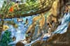 Survivor Island